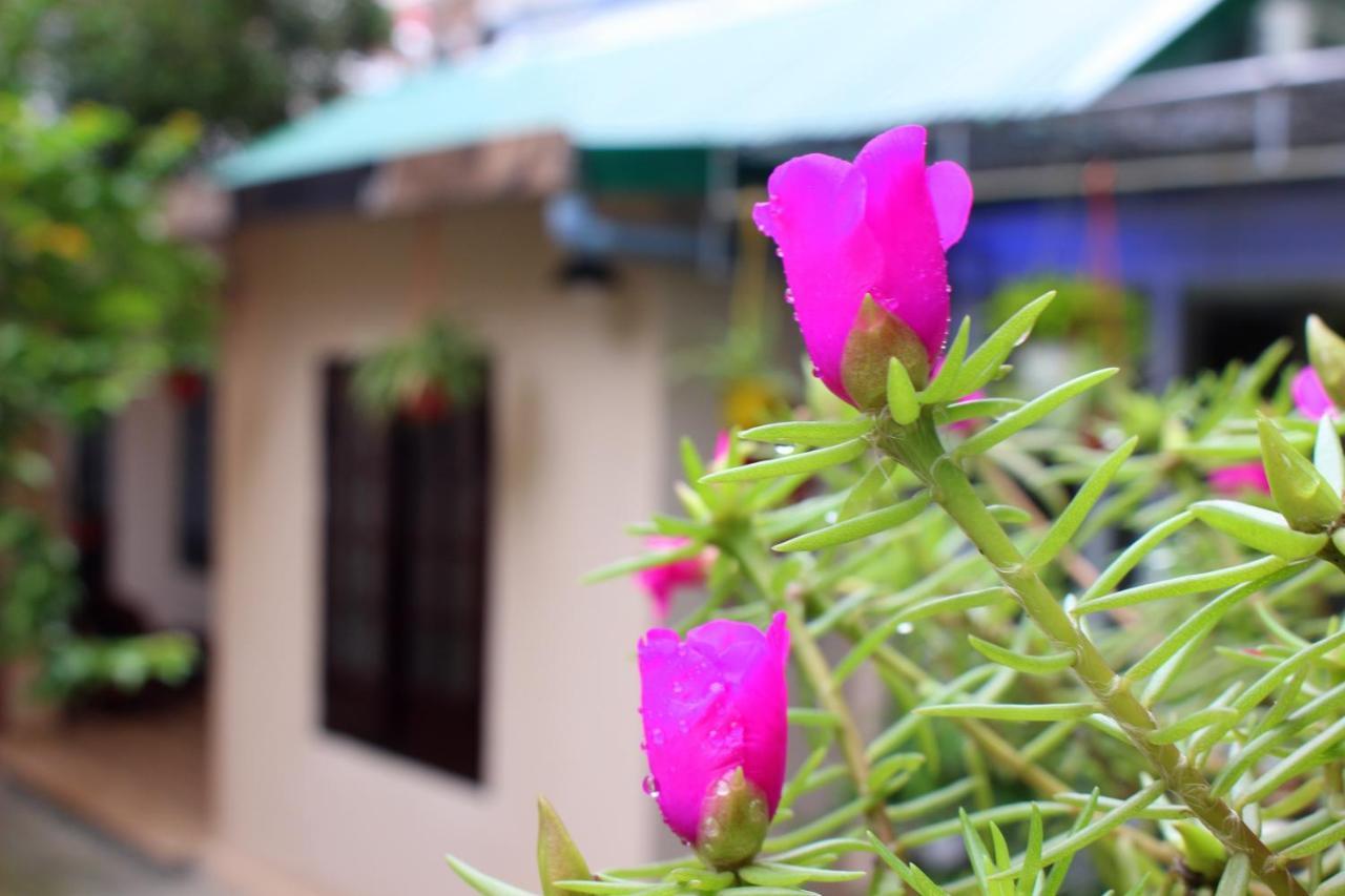 Homestay Minh Tu Хюэ Экстерьер фото